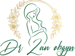 Dr Zan Obgyn